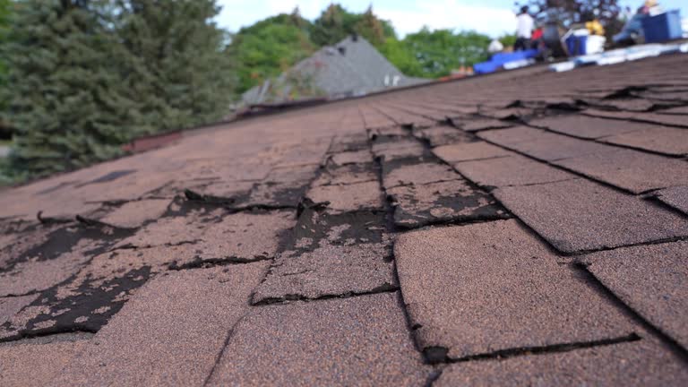  Jackson Center, OH Roofing Service Pros
